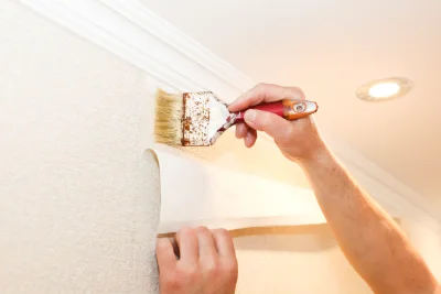 Pose de papier peint à Sevrier — revêtements muraux et toiles de verre